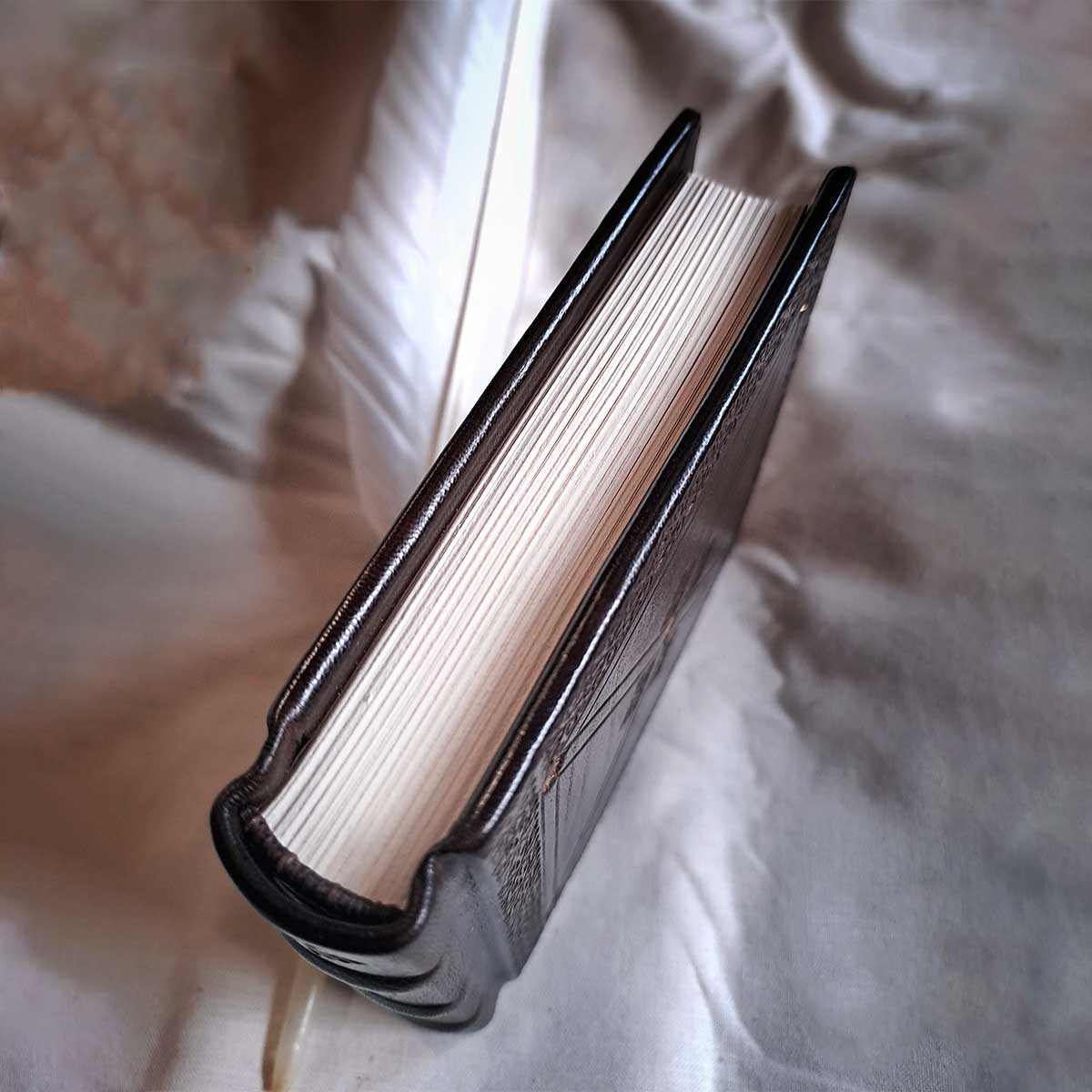 Bitacora medieval encuadernada tipo libreta con una pluma